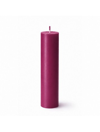 Свічка для WaxPlay Feral Feelings classic 15 см Cherry
