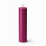 Свічка для WaxPlay Feral Feelings classic 15 см Cherry