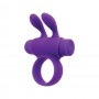 Ерекційне віброкільце S Pleasures Premium Rabbit Ring фіолетове, зі знімною віброкулею та вушками