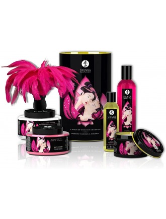 Подарочный набор Shunga Romance Cosmetic Kit