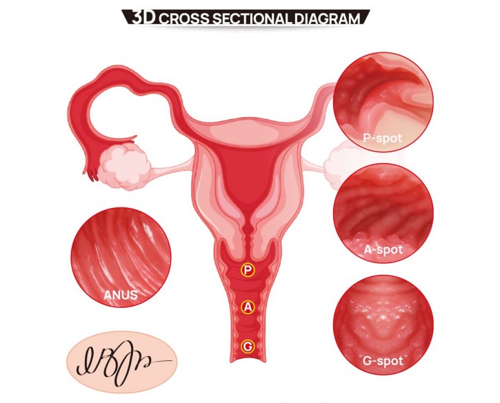 Мастурбатор Kokos 004 Vailla ONAHOLE Real Vagina 2WayPlus з вібрацією та масажем