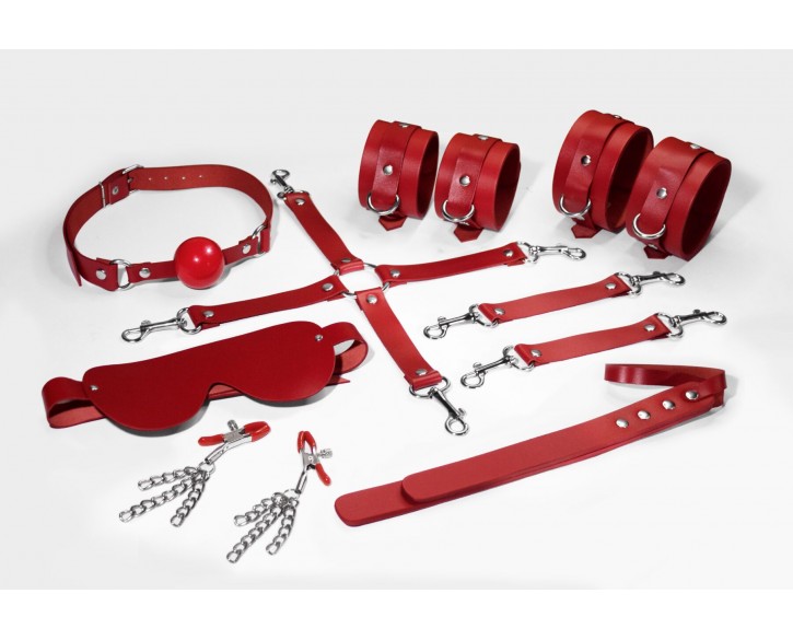 Набір Feral Feelings BDSM Kit 7 Red, наручники, поножі, конектор, маска, падл, кляп, затискачі