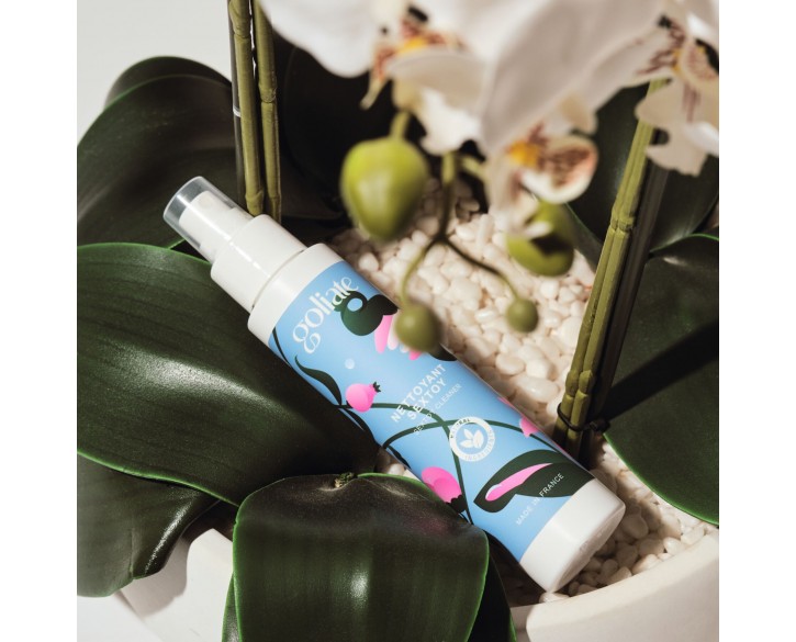 Антибактеріальний спрей для іграшок Goliate Nettoyant Sextoy 100 мл, безпечний для тіла