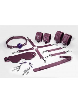 Набір Feral Feelings BDSM Kit 7 Burgundy, наручники, поножі, конектор, маска, падл, кляп, затискачі