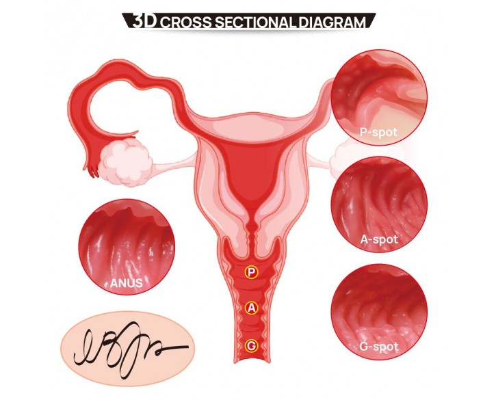 Мастурбатор Kokos 004 Vailla ONAHOLE Real Hips 2WayPlus з вібрацією та масажем