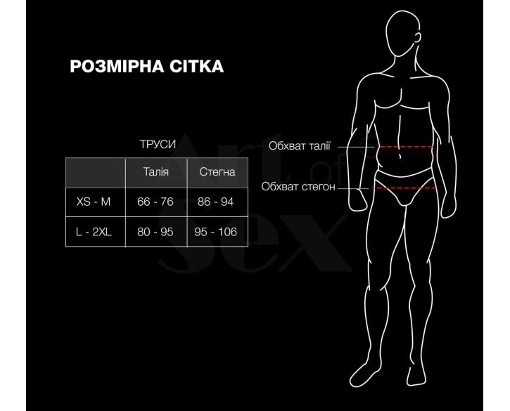 Чоловічі труси з сітки Art of Sex — Demir, колір чорний, розмір XS-M