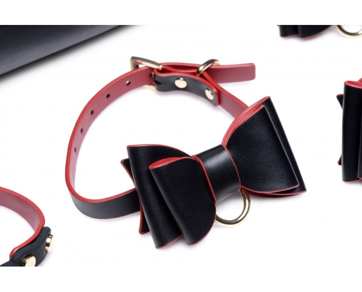 Набір для BDSM Master Series Bow - Luxury BDSM Set With Travel Bag