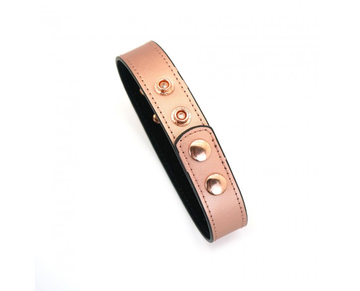 Нашийник із затискачами для сосків Liebe Seele Rose Gold Memory Collar with Nipple Clamps