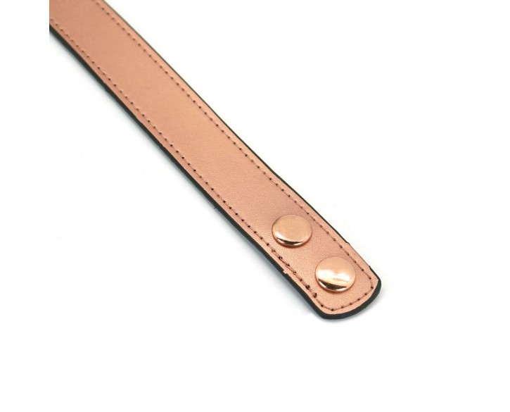 Нашийник із затискачами для сосків Liebe Seele Rose Gold Memory Collar with Nipple Clamps