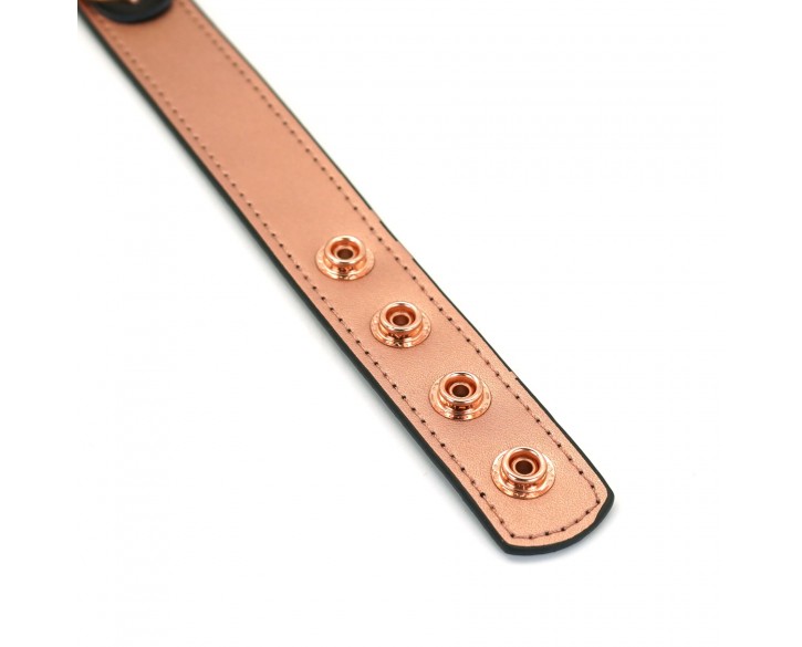 Нашийник із затискачами для сосків Liebe Seele Rose Gold Memory Collar with Nipple Clamps